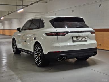 Cayenne (PO536)