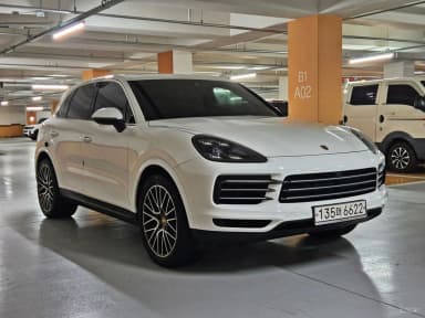 Cayenne (PO536)