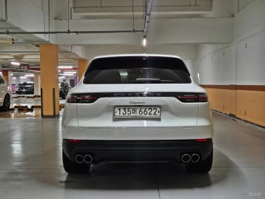 Cayenne (PO536)