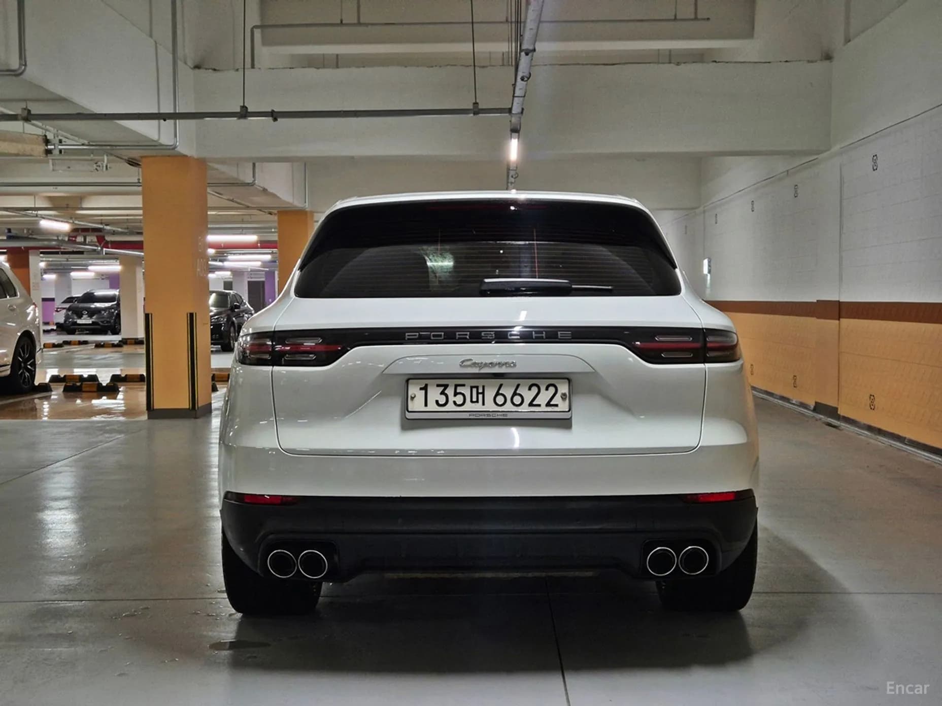 Cayenne (PO536)