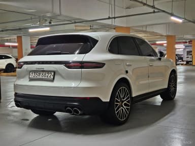 Cayenne (PO536)