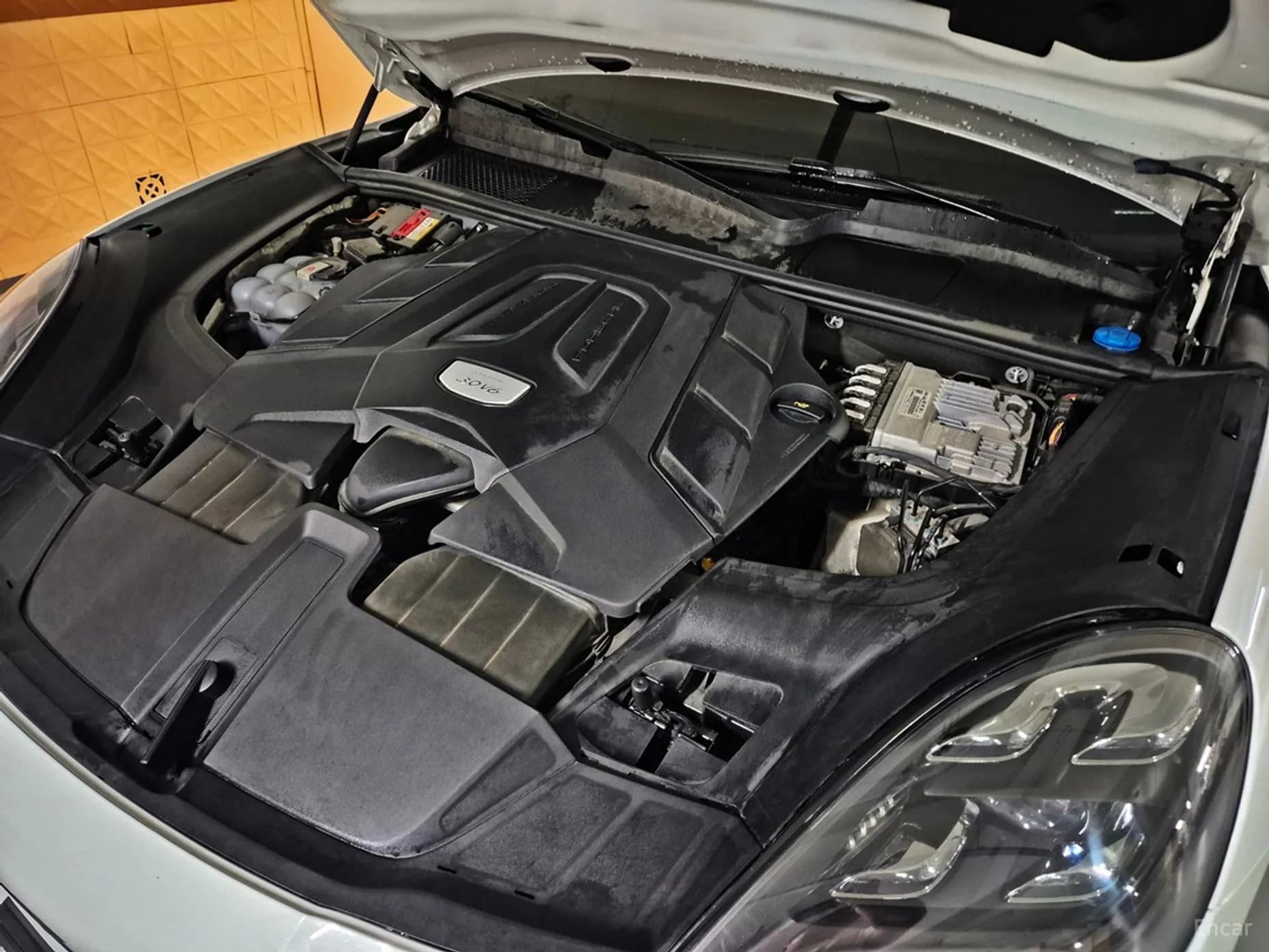 Cayenne (PO536)