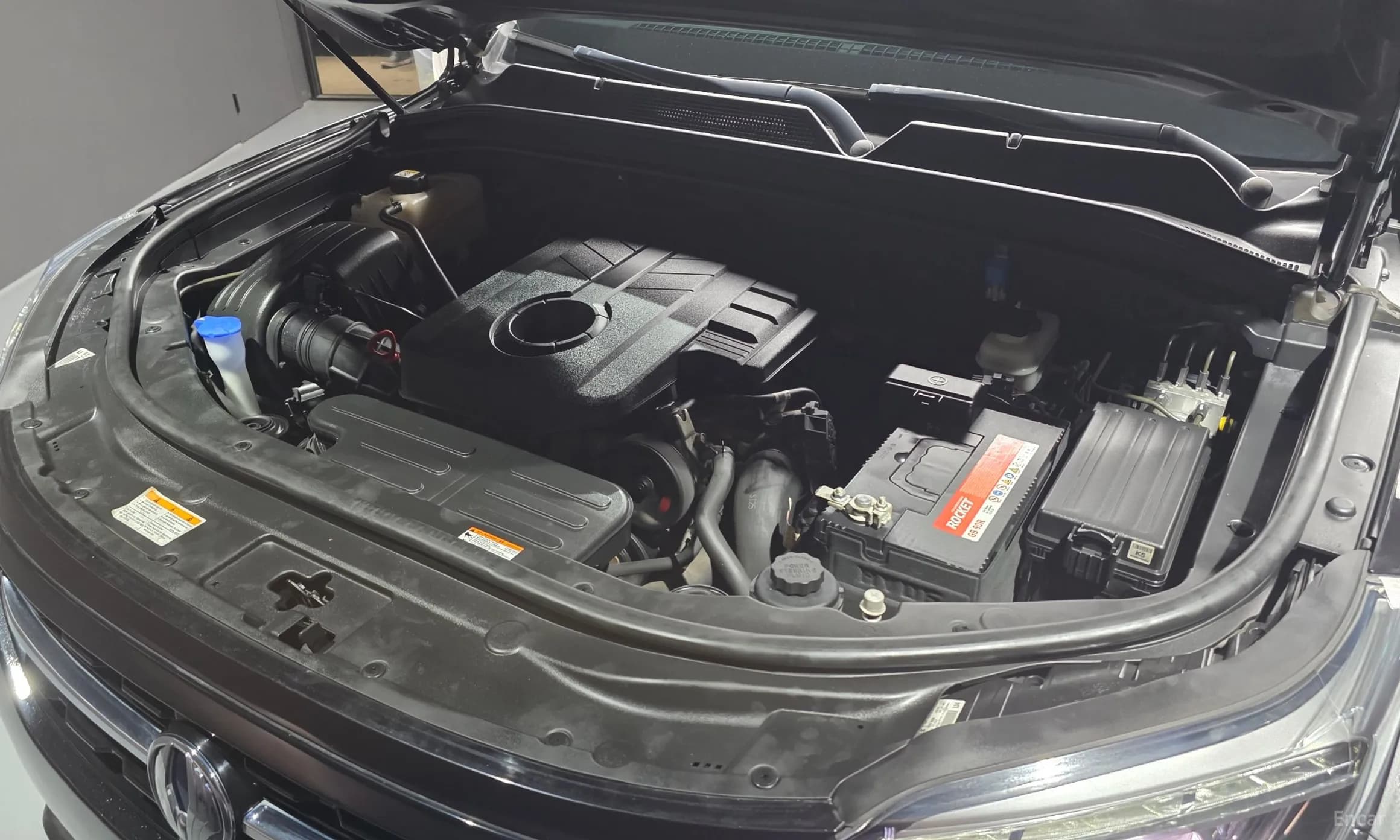 Rexton Sports