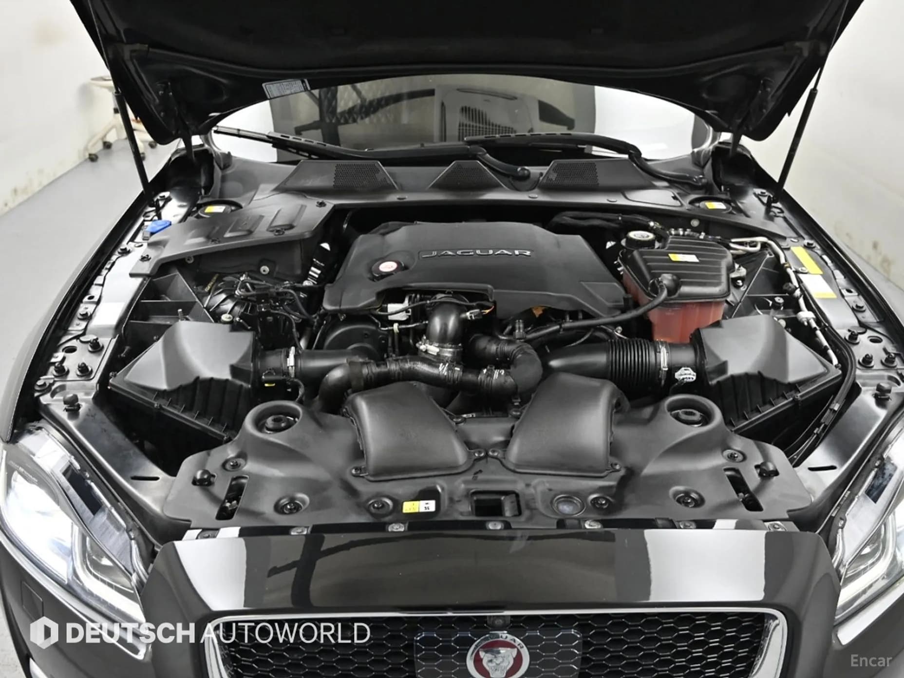 All New XJ