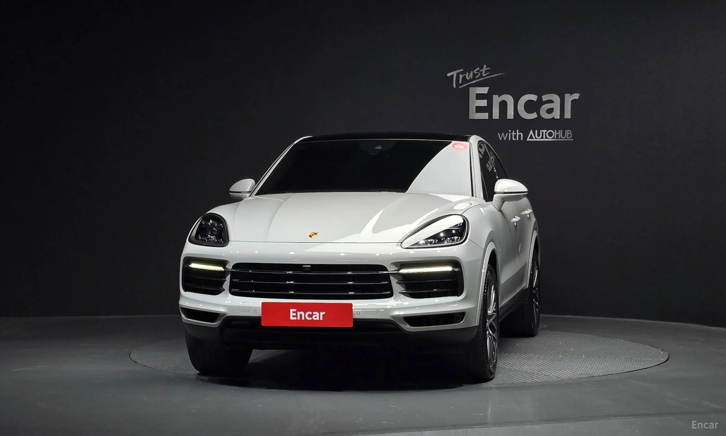 Cayenne (PO536)