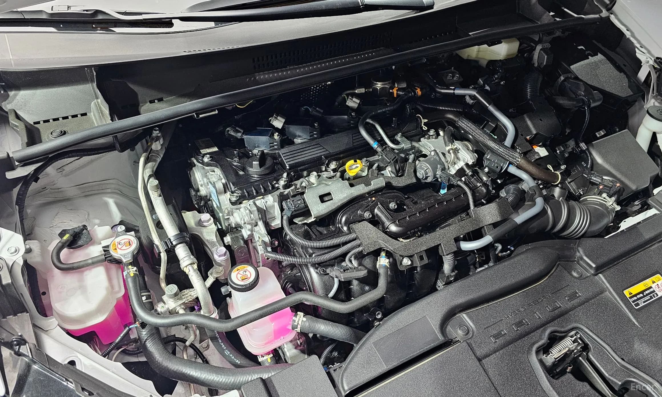 Prius 5th Generation