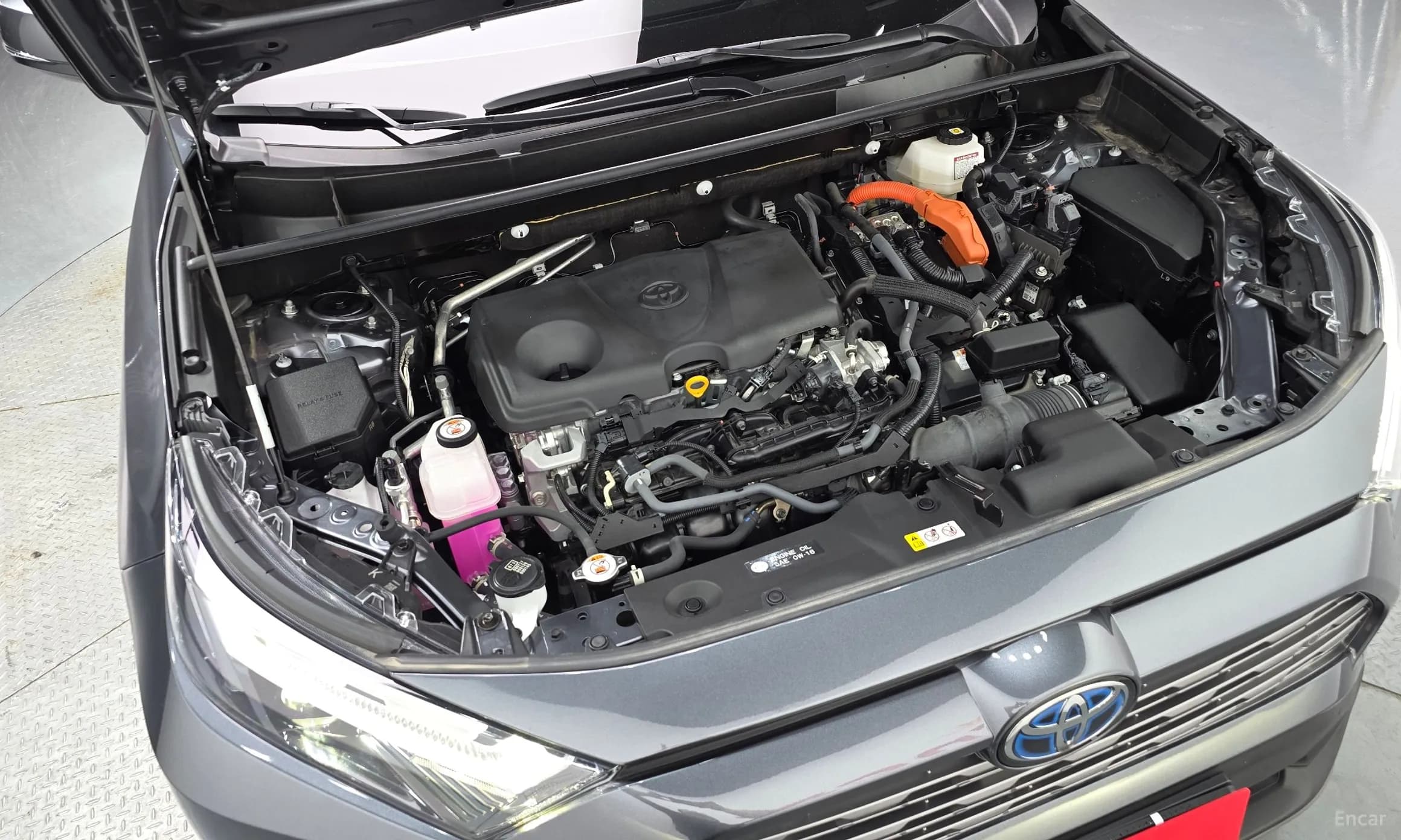 RAV4 5th Generation