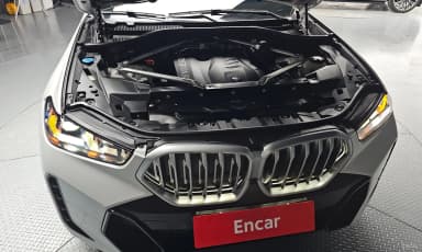 X6 (G06)