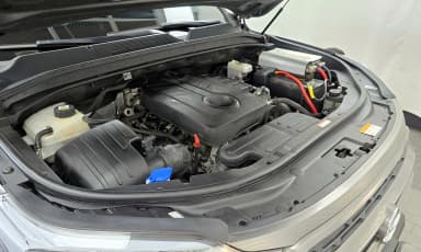 Rexton Sports