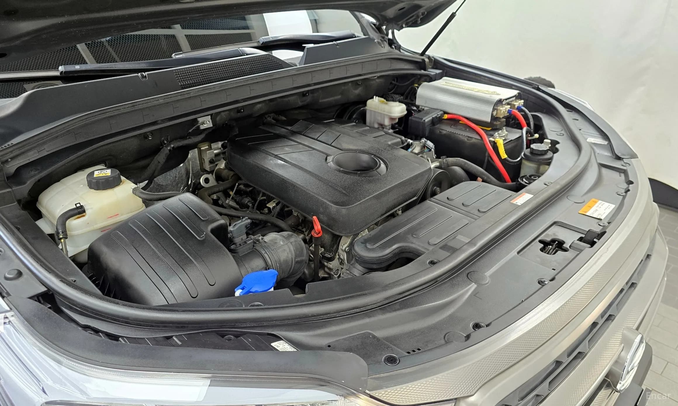 Rexton Sports