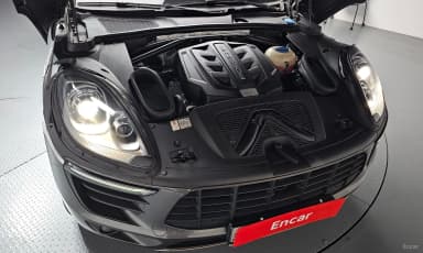 Macan