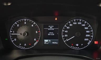 Rexton Sports