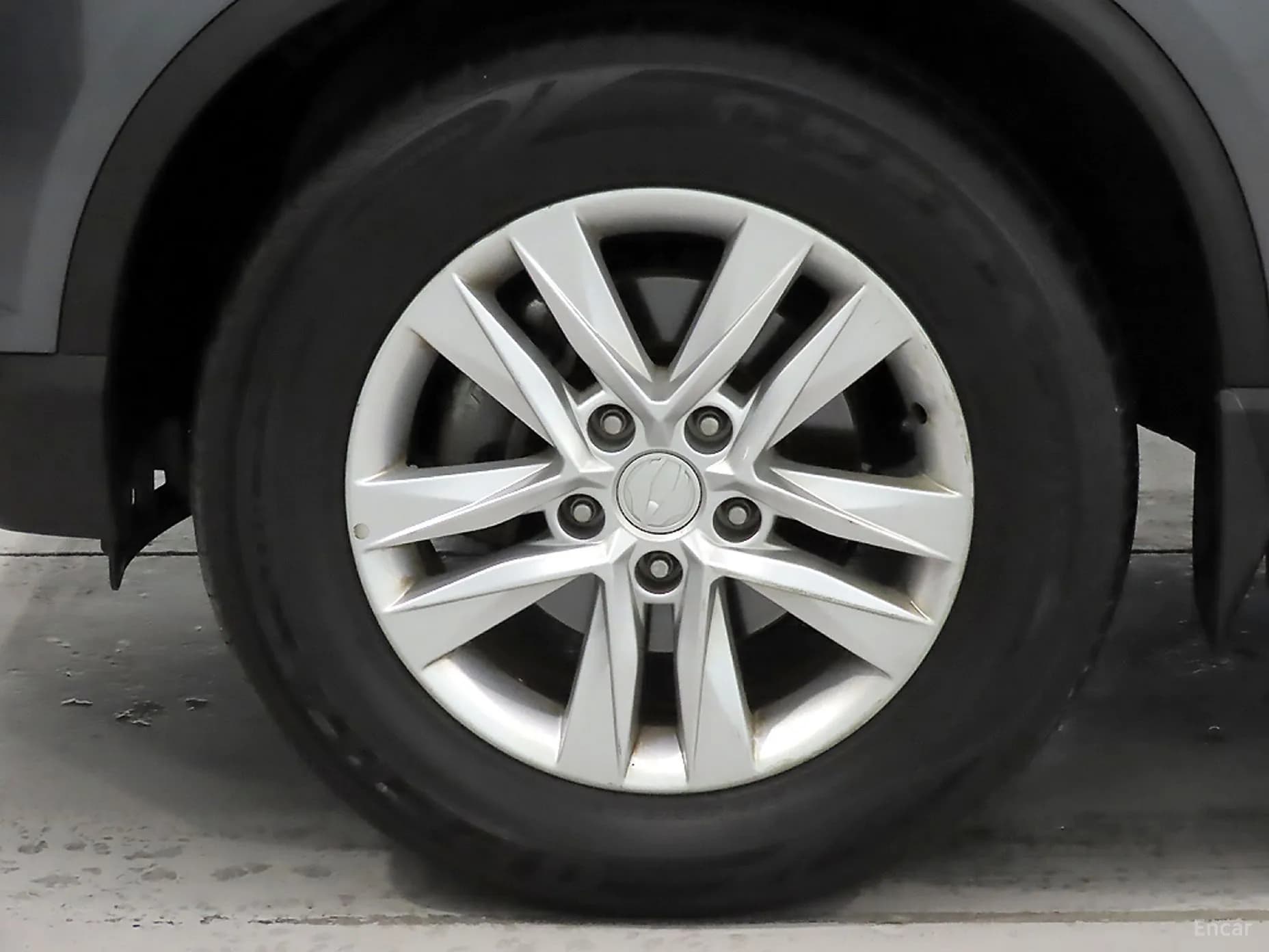 Rexton Sports
