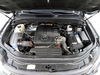 Rexton Sports