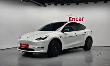 Model Y