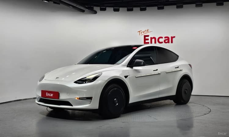 Model Y