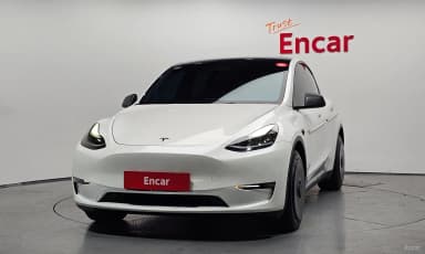 Model Y