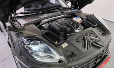 Macan