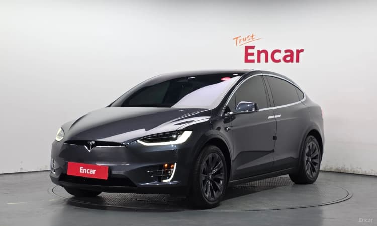 Model X