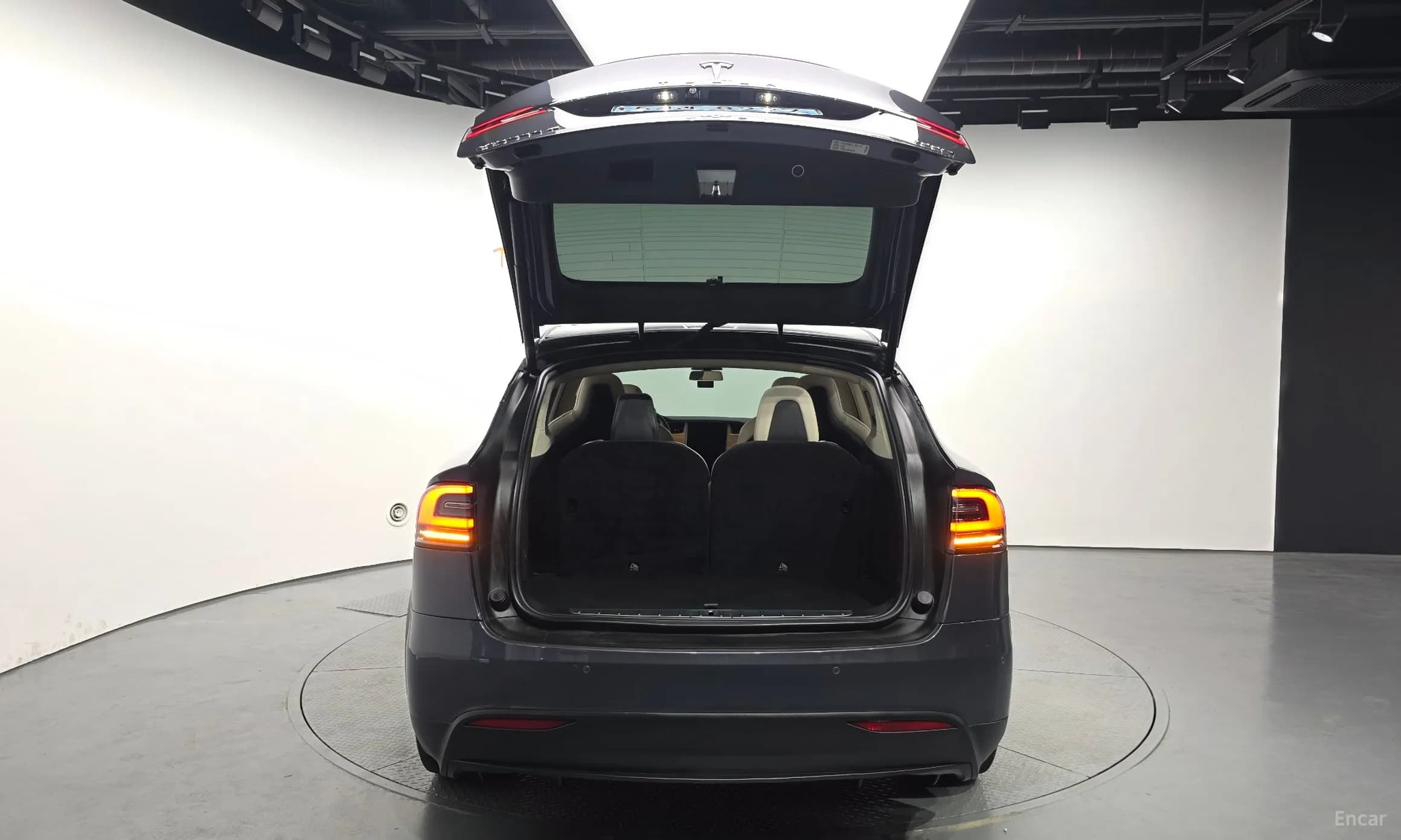 Model X