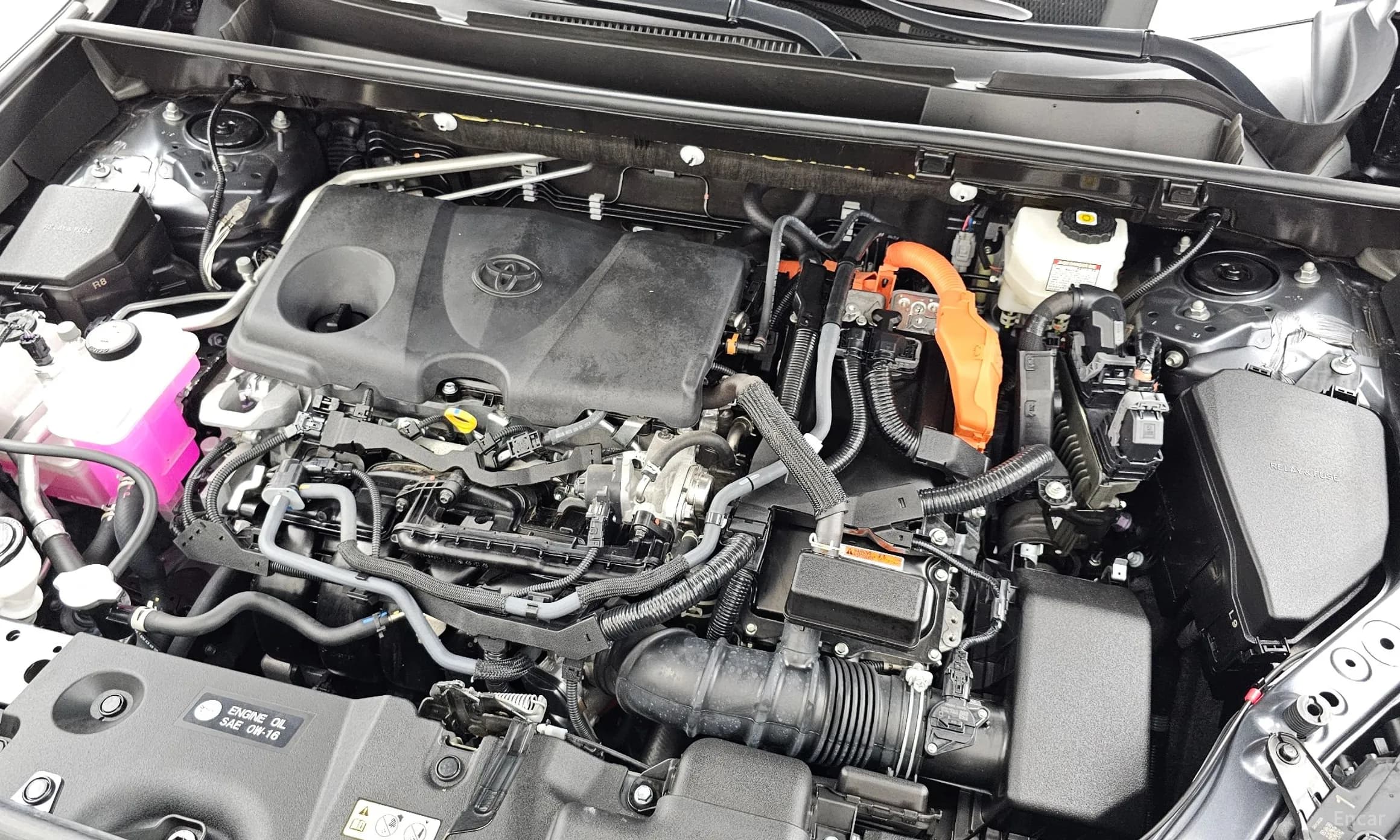 RAV4 5th Generation