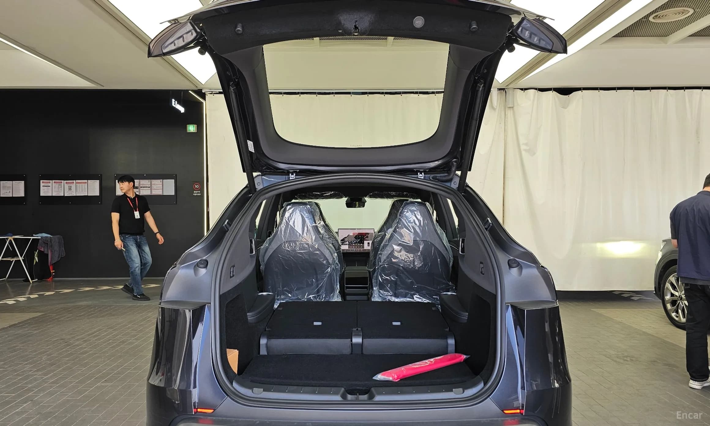 Model Y