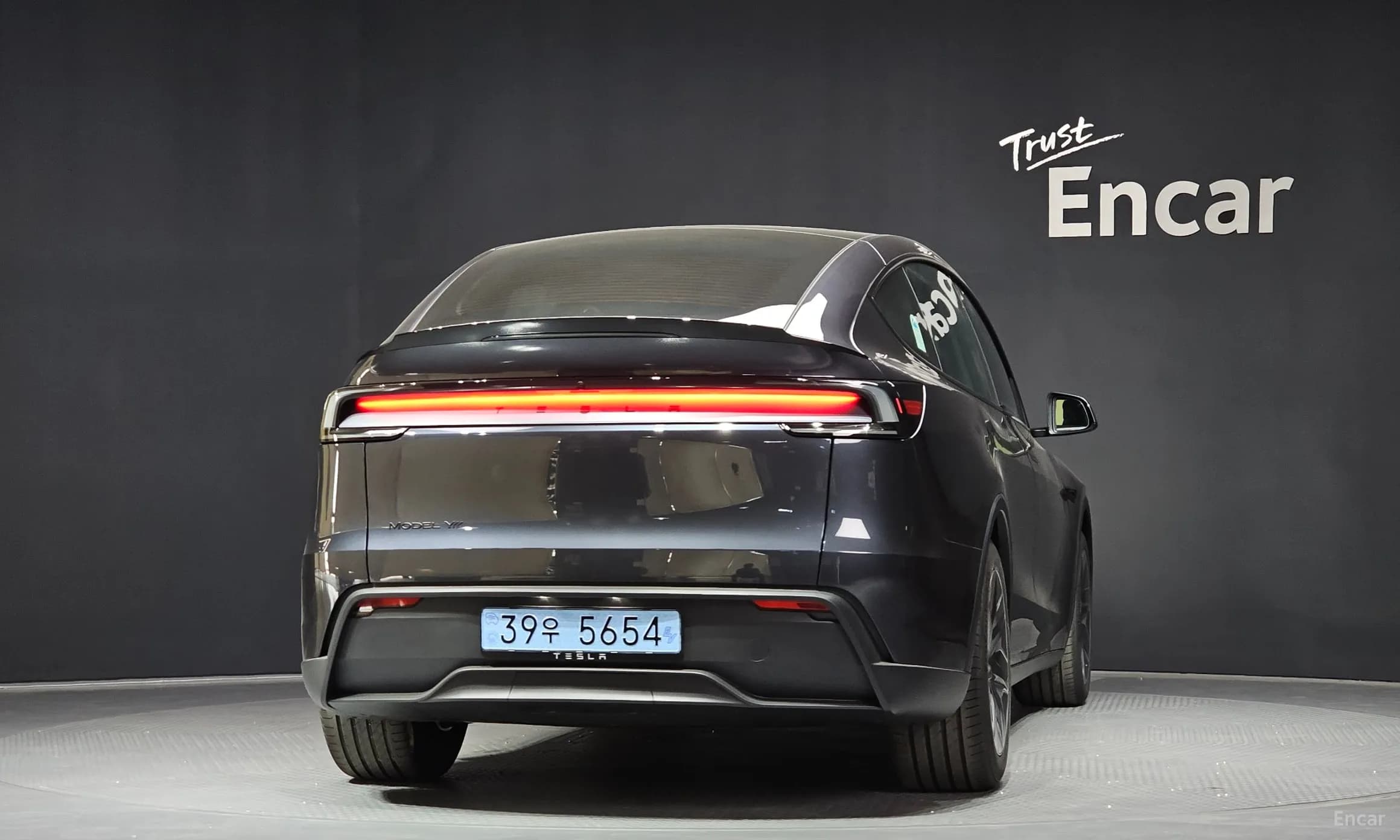 Model Y