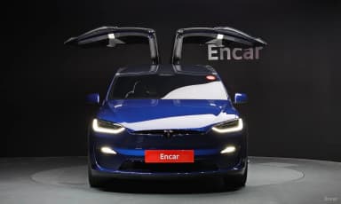 Model X