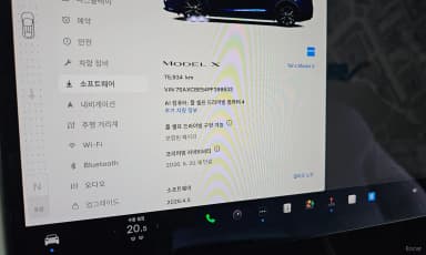 Model X