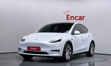 Model Y