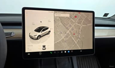 Model Y