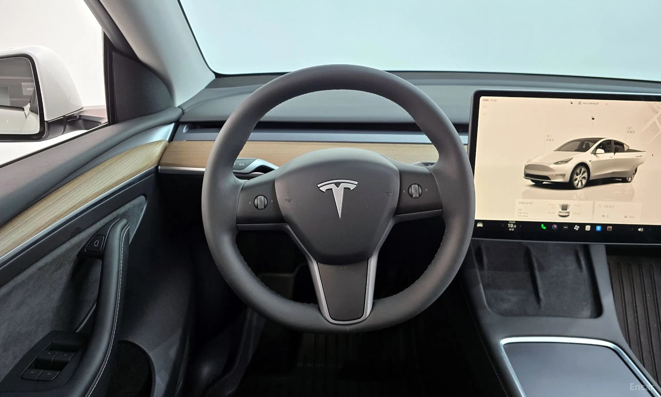 Model Y