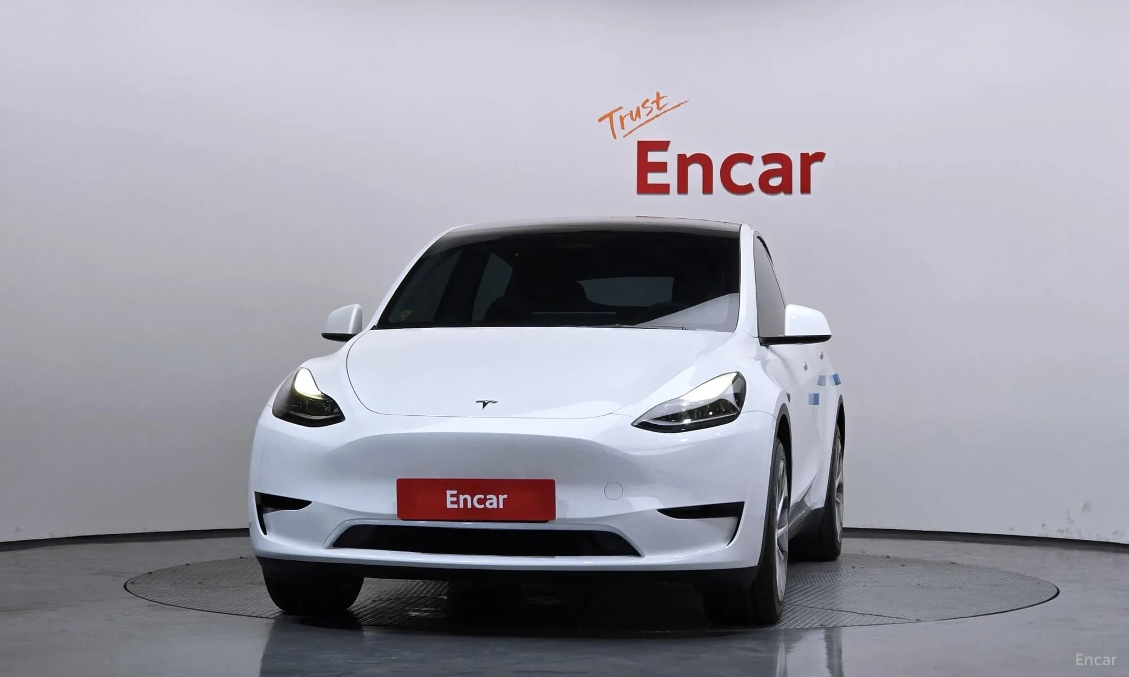 Model Y