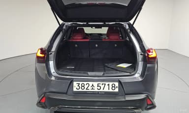 UX250h