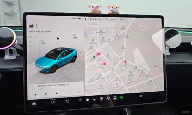 Model Y