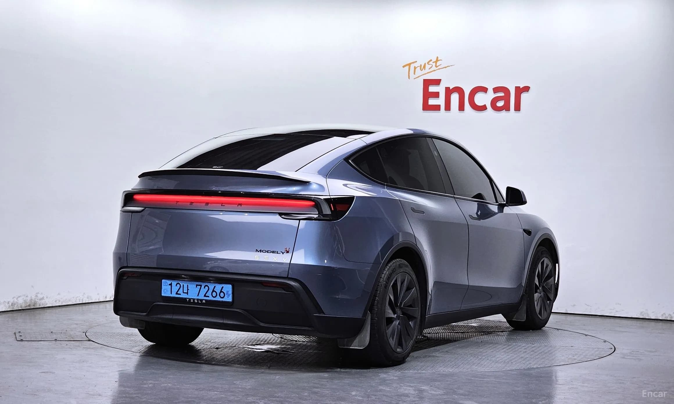 Model Y