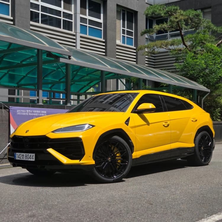 Urus