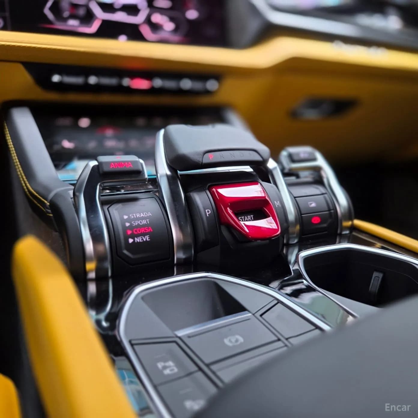 Urus