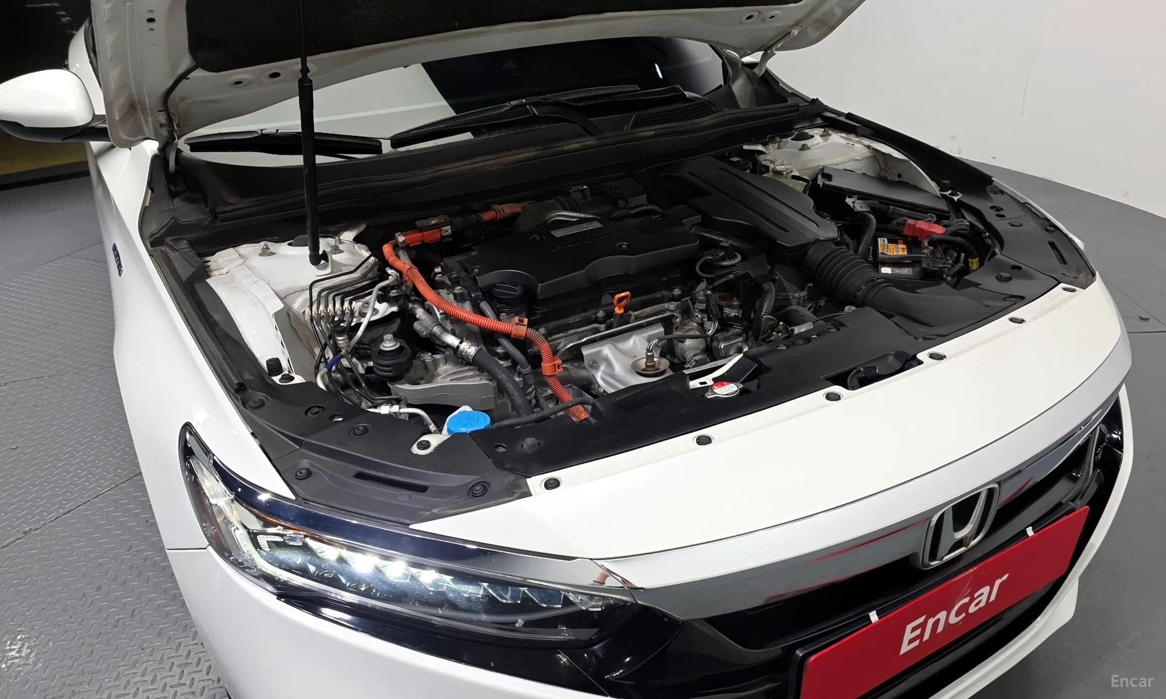 Accord 10th Generation