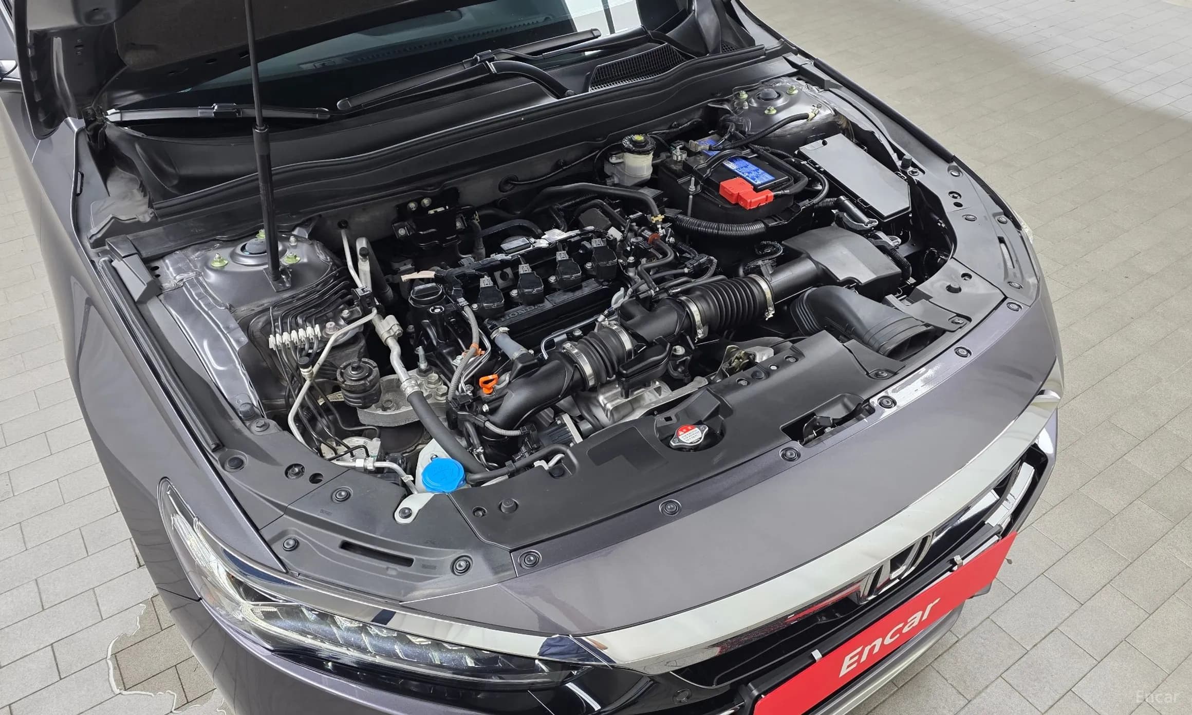 Accord 10th Generation