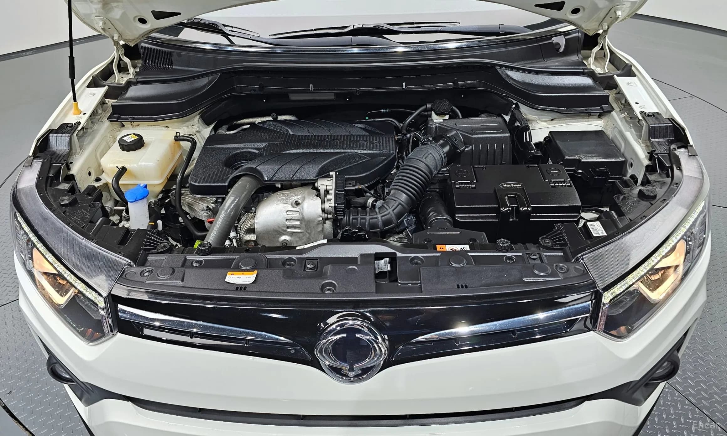 Berry New Tivoli