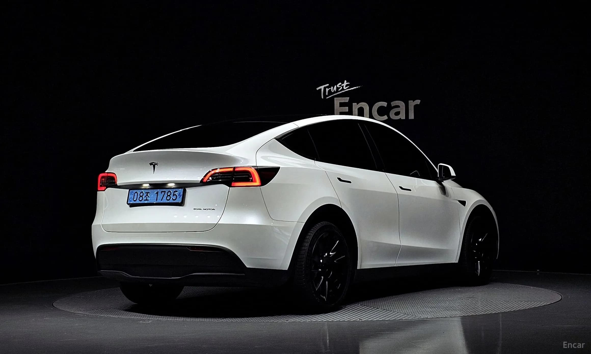 Model Y