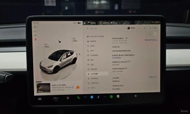 Model Y