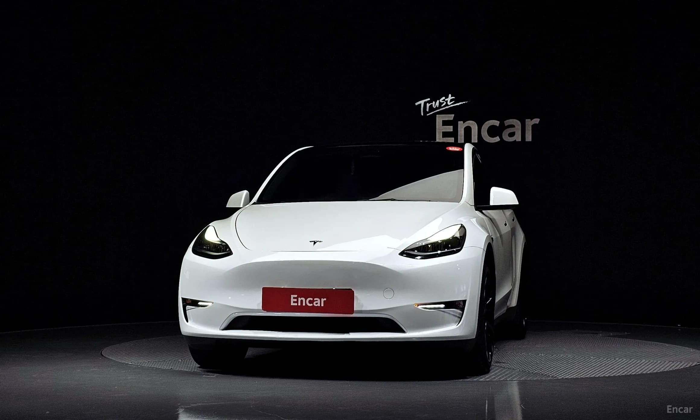 Model Y