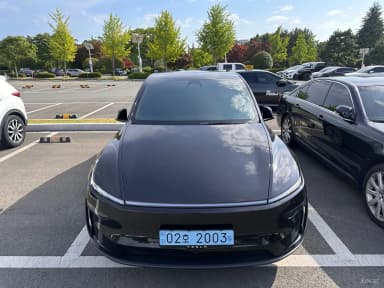 Model Y