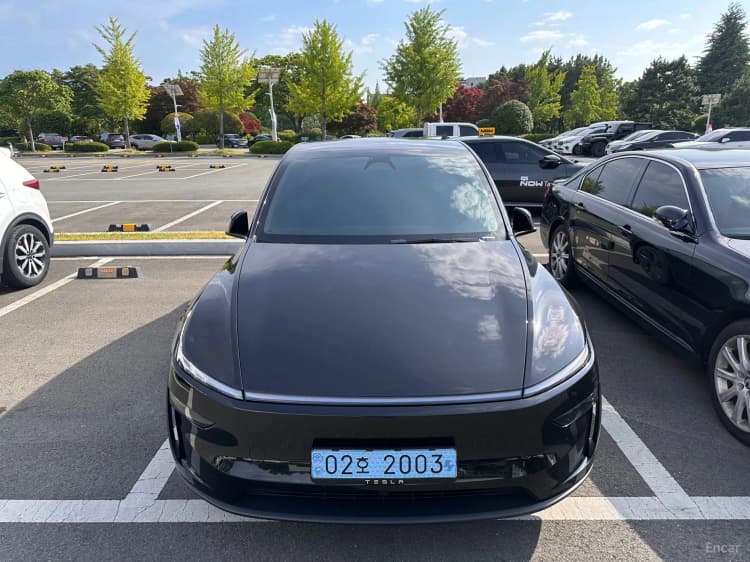 Model Y