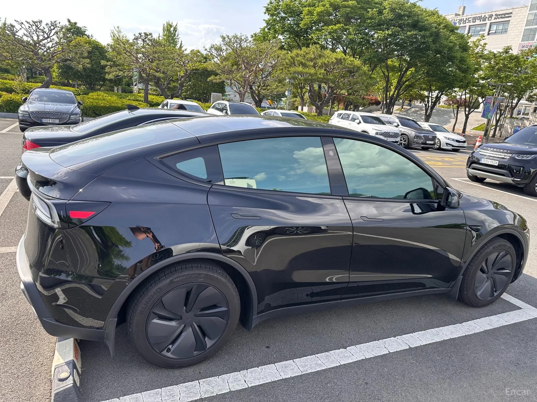 Model Y