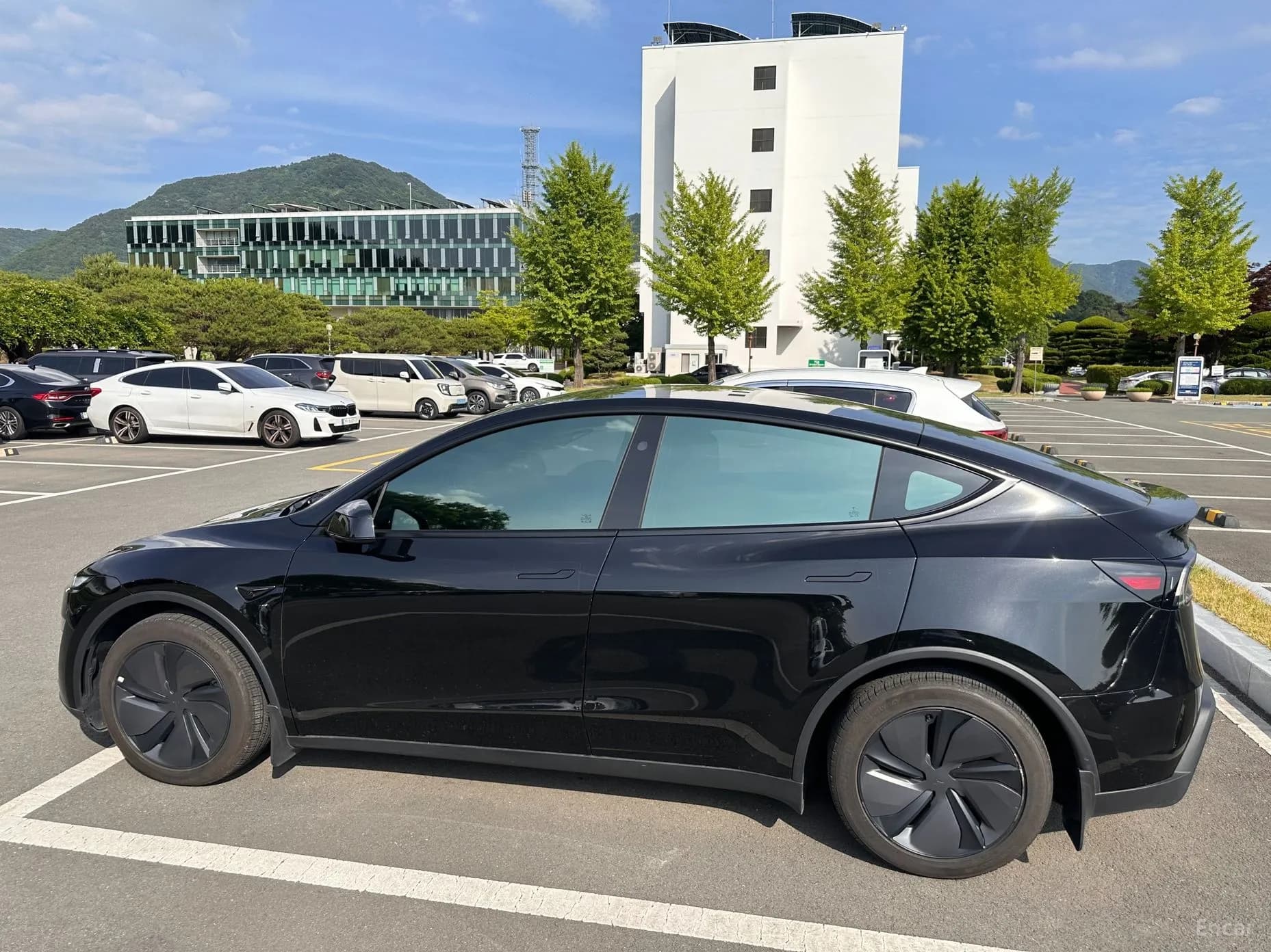 Model Y