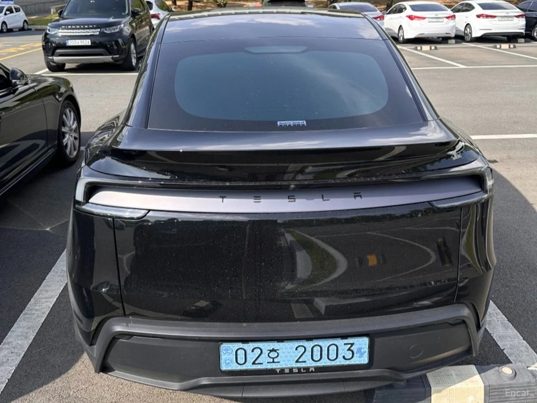 Model Y