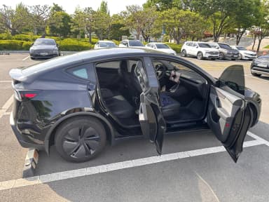 Model Y